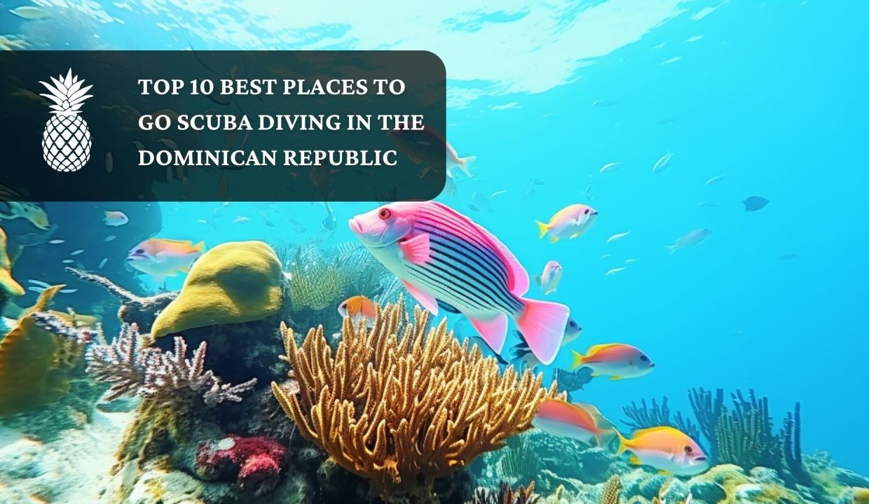 The Top 10 Scuba Diving Destinations in the DR