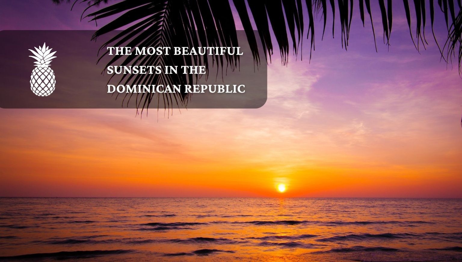 美丽的日落多米尼加共和国